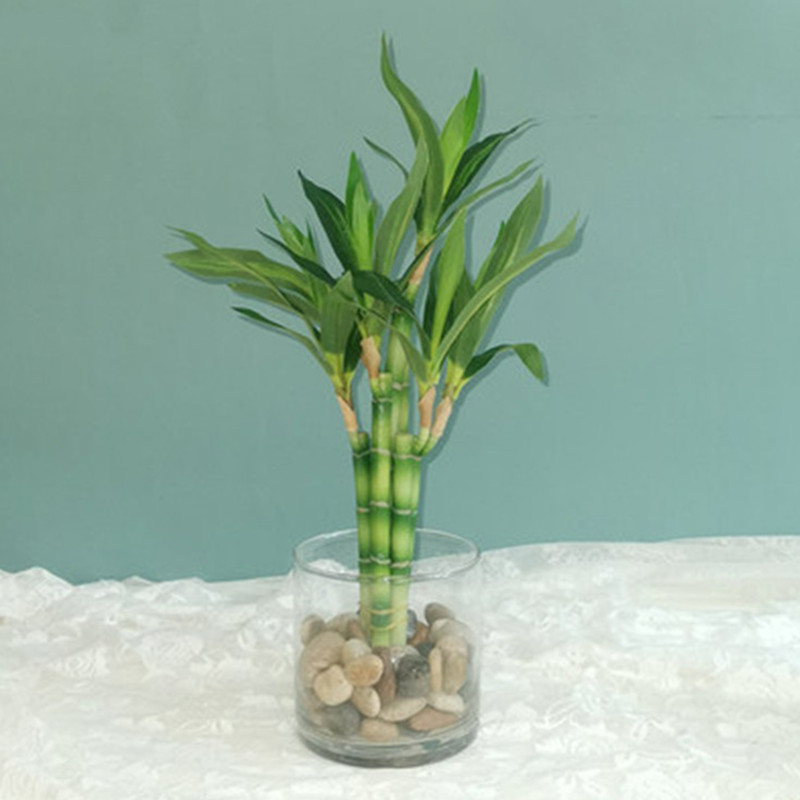 Snake Plant - ต้นไผ่กวนอิมเทียมขนาด 40 ซม. พร้อมกระถางสีเขียว สำหรับตกแต่งสวนกลางแจ้ง โต๊ะอาหาร