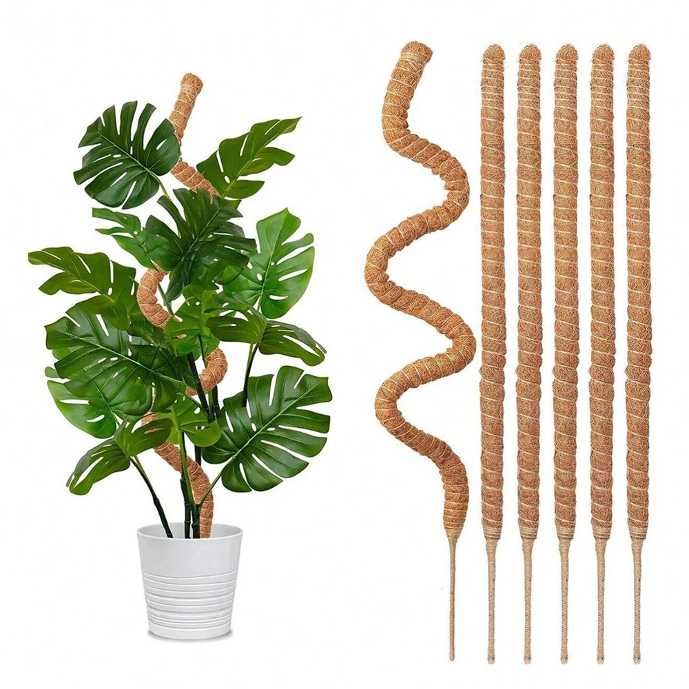Plant Support Stake - เสาไม้สนับสนุนต้นมอนสเตอร่า สำหรับพืชปีนป่ายในร่ม โครงไม้เลื้อย ไม้ค้ำต้นไม้กระถางในสวน