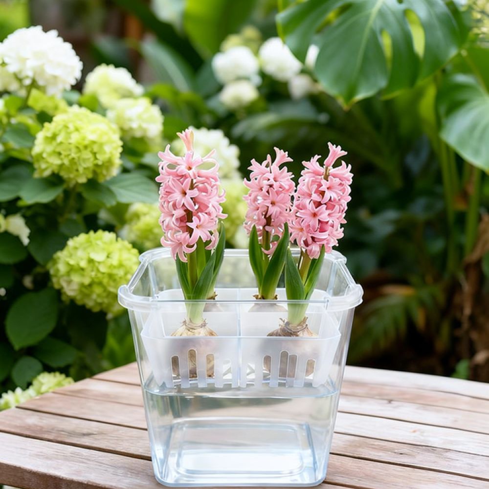 Indoor Plants - กระถางไฮโดรโปนิกส์สำหรับปลูกทิวลิปและลิลลี่ กระถางใสพร้อมตะกร้าปลูก ระบายอากาศได้ดี อุปกรณ์ปลูกต้นไม้ในร่มสำหรับสำนักงาน
