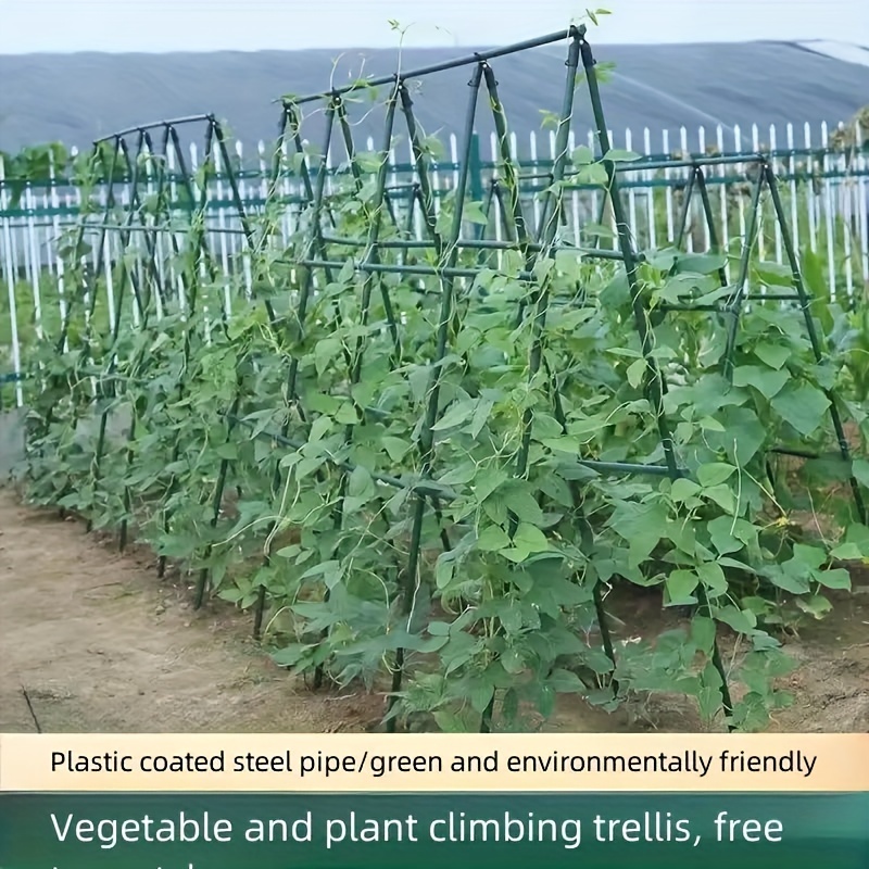 เสาสวนอเนกประสงค์20ชิ้น-รองรับ - Plant Support Stake บทวิจารณ์และราคา