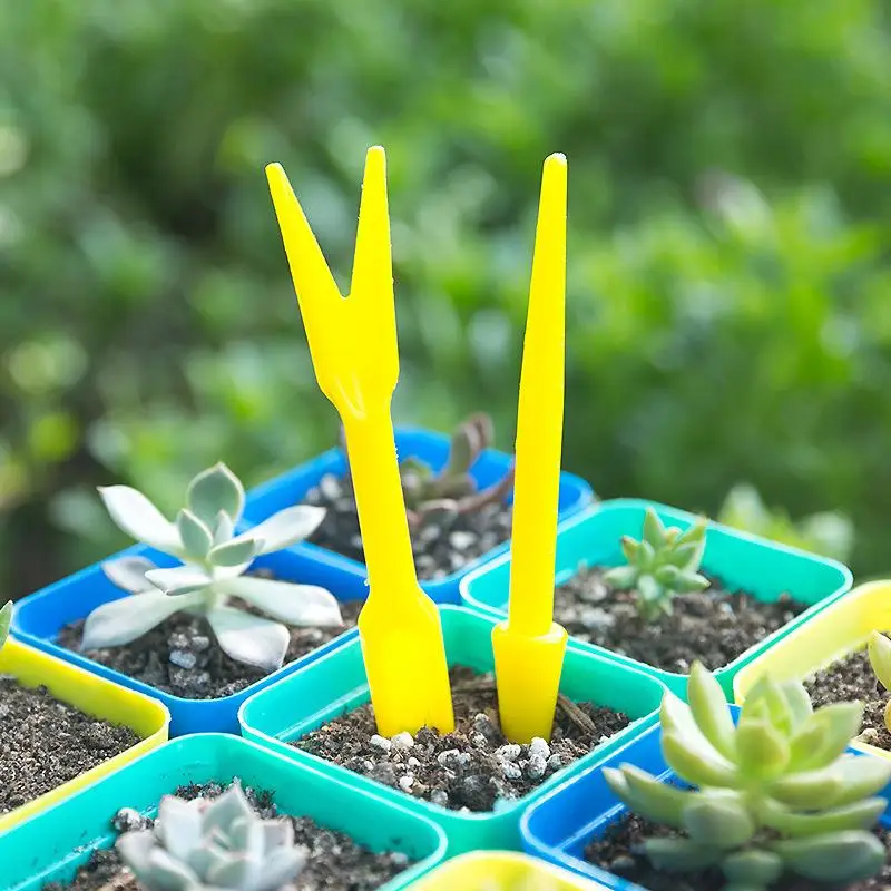 1/10 ชิ้นการหว่าน Succulents ป - Succulent Set บทวิจารณ์และราคา