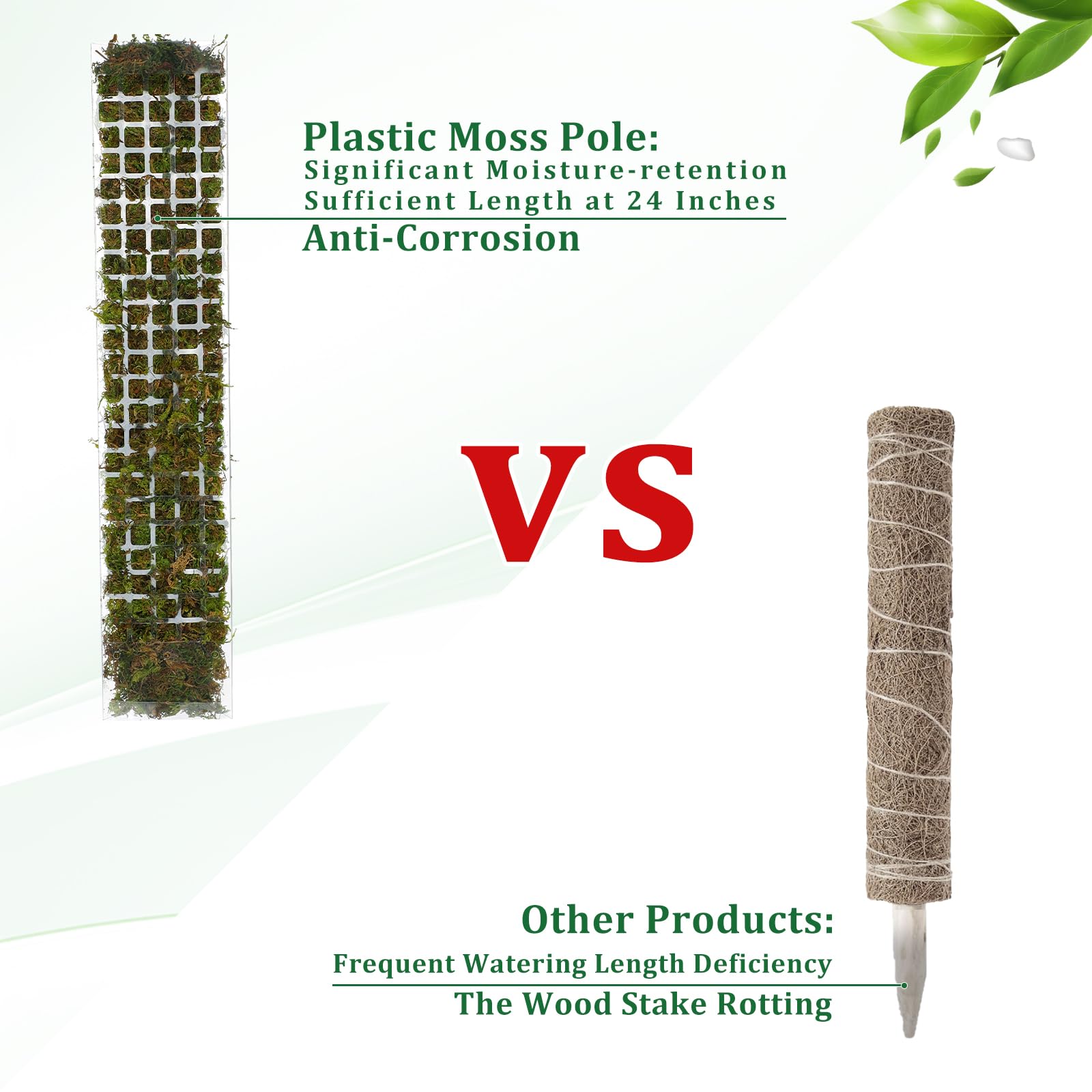 MOSS POLE พลาสติกยืนในร่มพืชปี - Plant Support Stake บทวิจารณ์และราคา