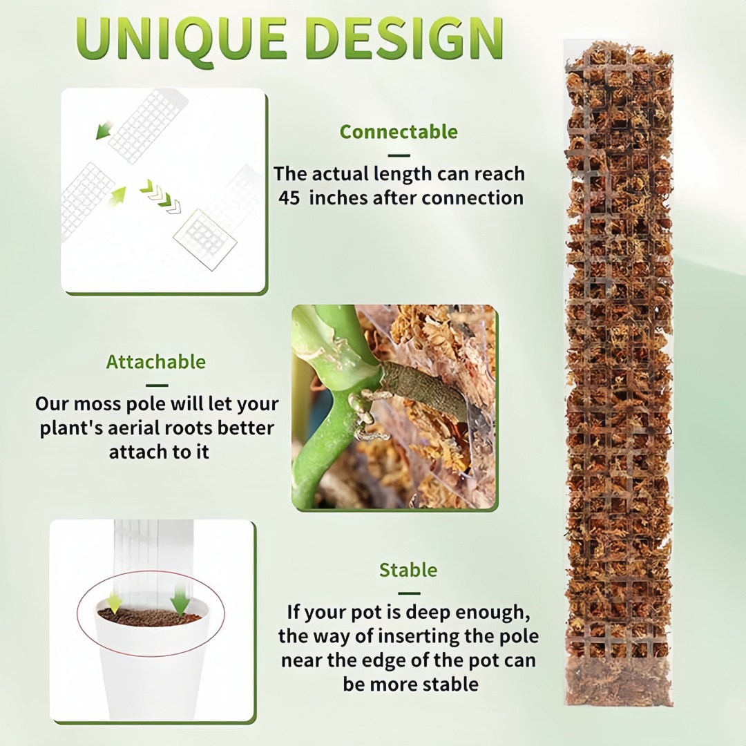 MOSS POLE พลาสติกยืนในร่มพืชปี - Plant Support Stake บทวิจารณ์และราคา
