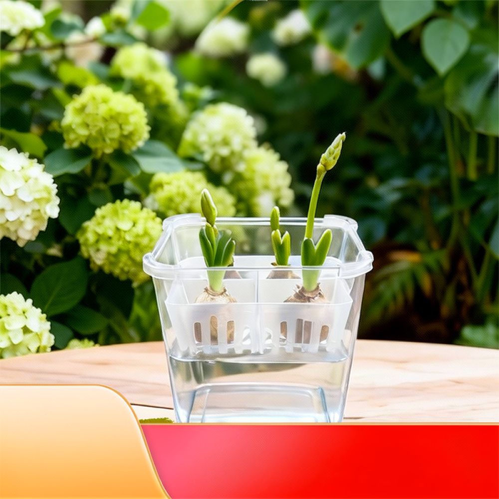 กระถางไฮโดรโปนิกส์สำหรับปลูกทิ - Indoor Plants บทวิจารณ์และราคา