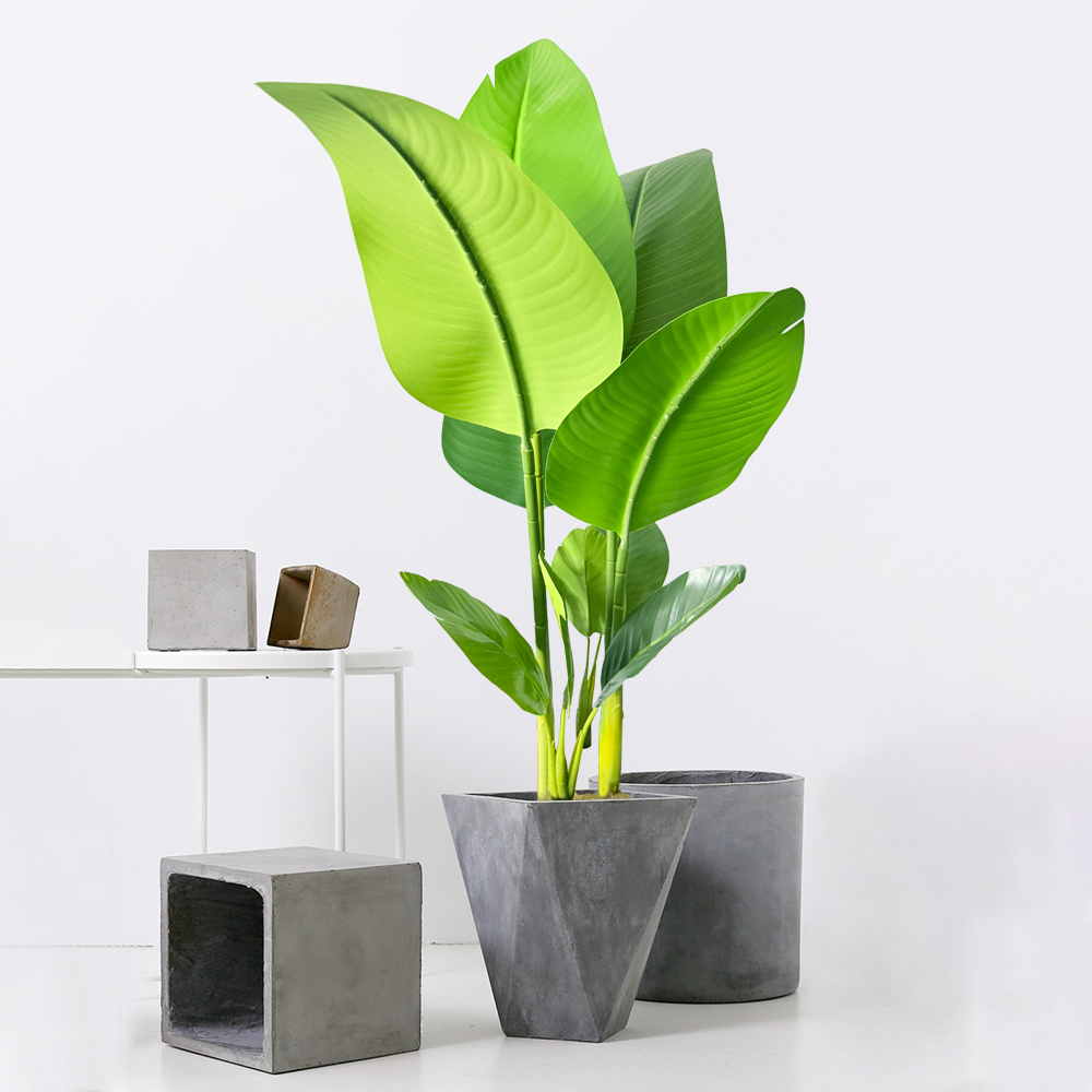 เสาค้ำต้นไม้สีเขียวแบบซ้อนกันไ - Plant Support Stake บทวิจารณ์และราคา