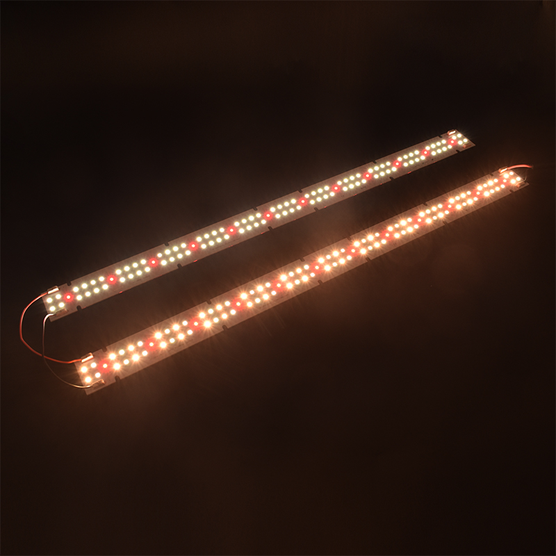 ไฟปลูกพืชแบบ COB LED คุณภาพสูง - Indoor Plants บทวิจารณ์และราคา