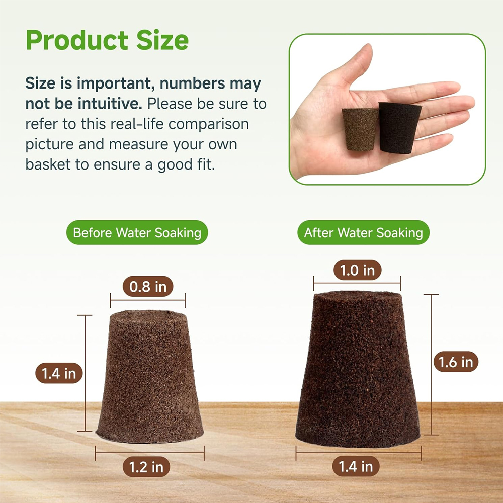 ฟองน้ำปลูกพืชแบบไฮโดรโพนิก 20  - Indoor Plants บทวิจารณ์และราคา