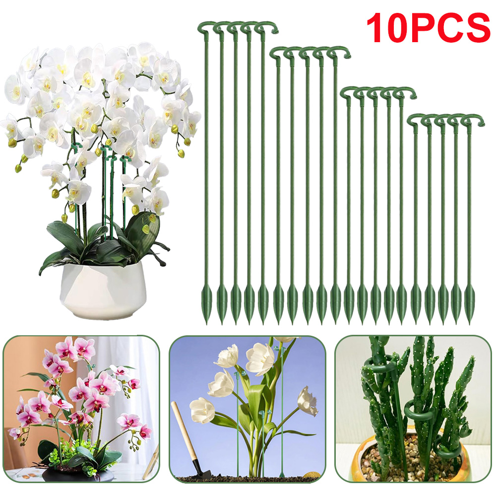 เสาค้ำต้นไม้ 5/10 ชิ้น สำหรับย - Succulent Set บทวิจารณ์และราคา