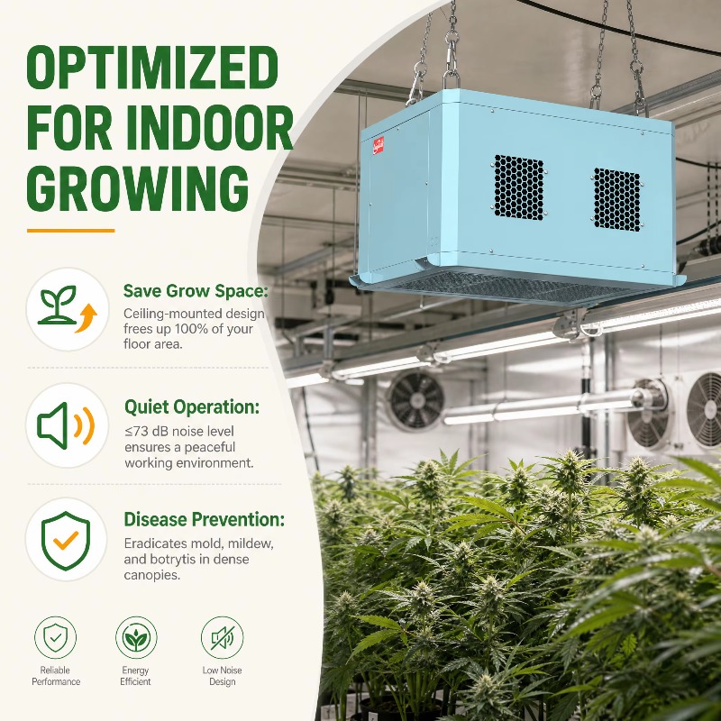 เครื่องลดความชื้นสำหรับเรือนกร - Indoor Plants บทวิจารณ์และราคา